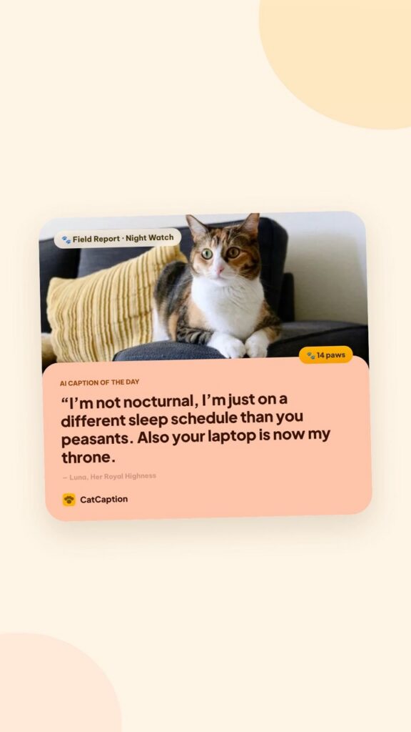 Cat Caption: Caption Magic