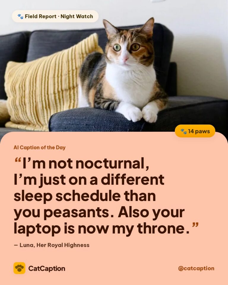 Cat Caption: AI Caption of the Day