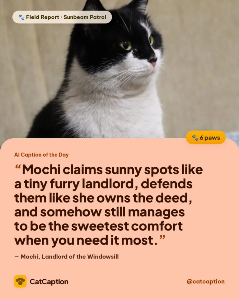 Cat Caption: AI Caption of the Day